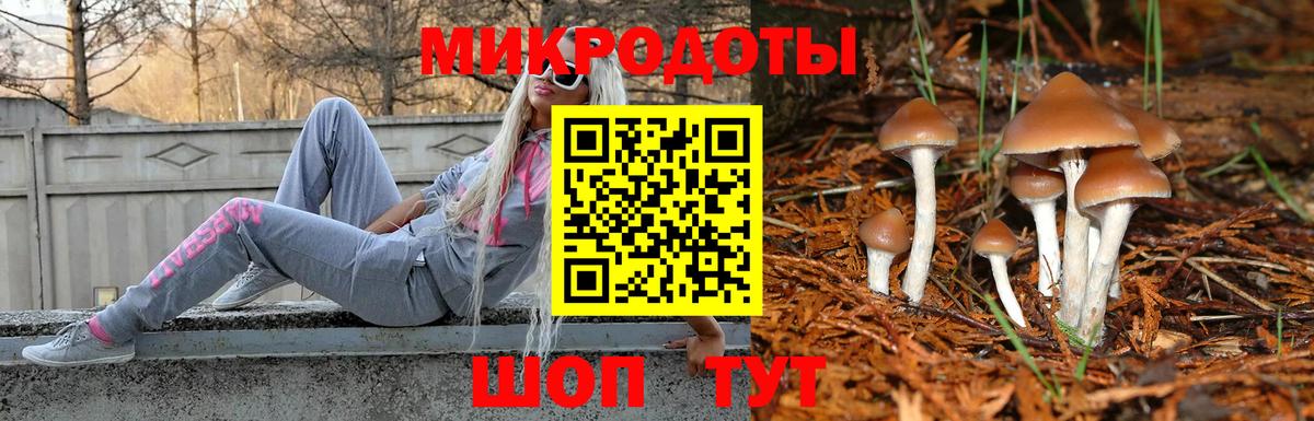 Псилоцибиновые грибы мухоморы Зеленодольск