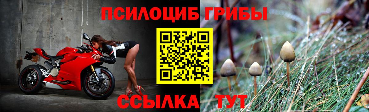 Зеленодольск  Псилоцибиновые грибы GOLDEN TEACHER  Вход с VPN 